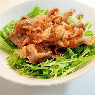 豚肉と玉ねぎのこってり炒め　+　水菜